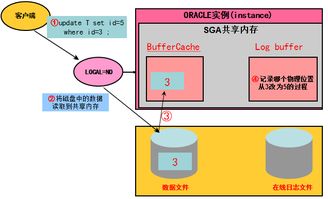 Oracle數據庫管理 深度剖析與優化IO性能以提升數據庫服務